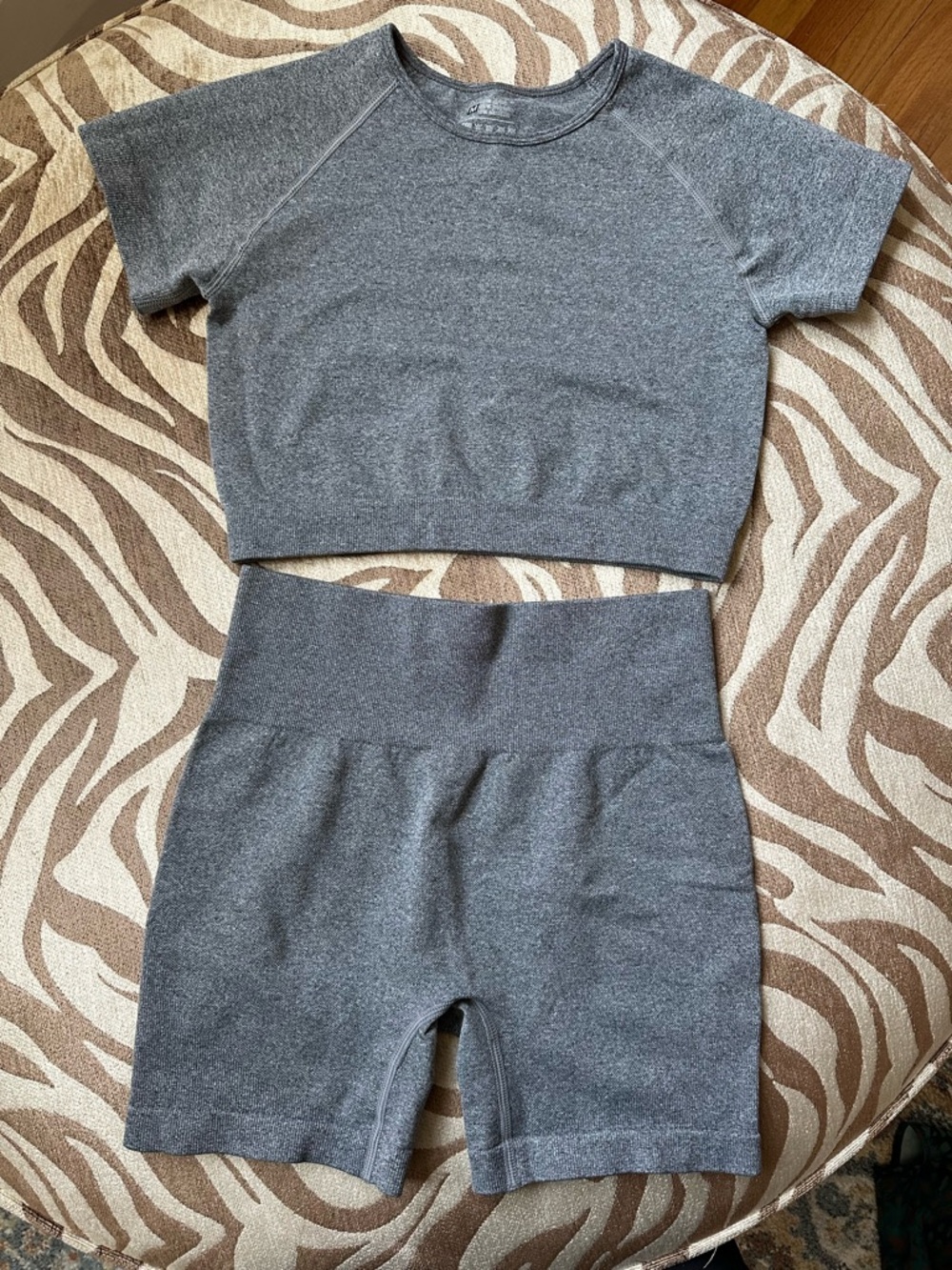 Women’s Gray Cropped Short Sleeve Top and High-Waist Bike Shorts Set